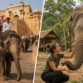 Elephant Activities In Jaipur | Ethical Experiences At Elefanjoy