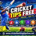 What Should Beginners Check Before Using Cricket Tips Free?