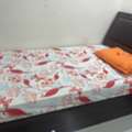SAR 250,  Single Bed With Mattress