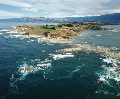 Auckland, Travel, Explore Multi Day Tours New Zealand | Cheeky Kea Travel