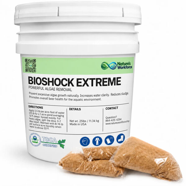 New York, Business, Pond Algae Control & Treatment Guide | BioShock Extreme &ndash; Nature
