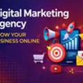 Education Digital Marketing Agency In Noida