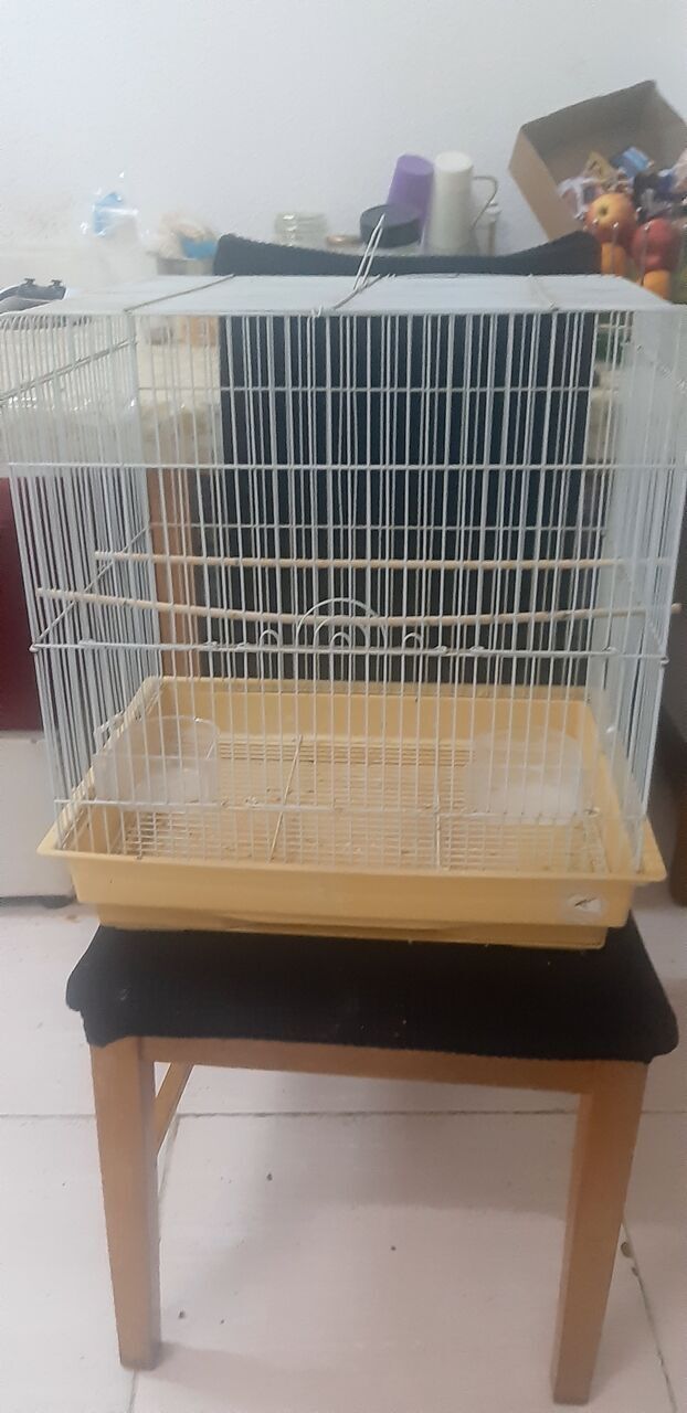Khobar, Pet Supplies, SAR 100,  Bird Cage +Accessories & Budgies Food