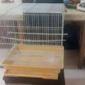 SAR 100,  Bird Cage Along With Accessories And Approximately 3&ndash;4 Kg Of Budgie Food.