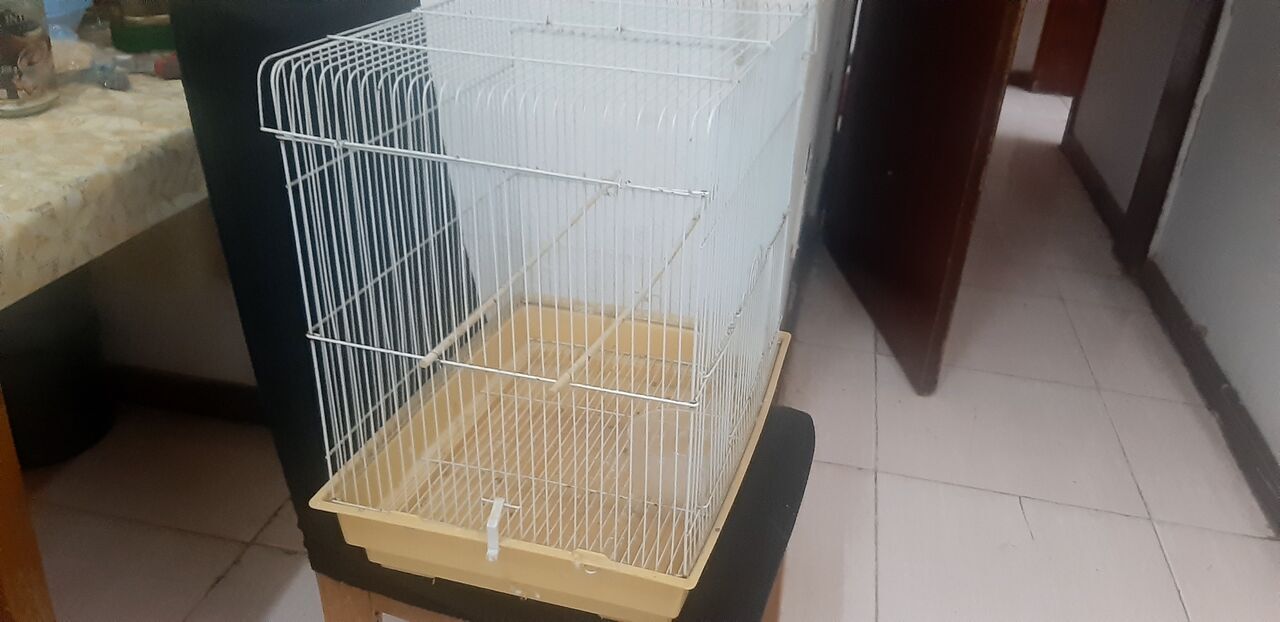 Khobar, Household Items, SAR 100,  Bird Cage Along With Accessories And Approximately 3&ndash;4 Kg Of Budgie Food.