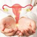 Affordable Intrauterine Insemination In Delhi | Fertylity IVF