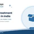 Affordable Medical Treatment Packages In India &mdash; All-Inclusive Care For International Pati
