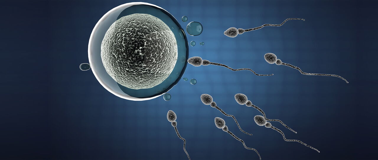 New Delhi, Health, Get Expert Male Infertility Treatment In Delhi | Fertylity IVF