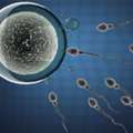 Get Expert Male Infertility Treatment In Delhi | Fertylity IVF