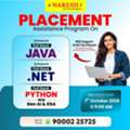 Placement Assistance Program On Full Stack JAVA & .NET - Naresh IT