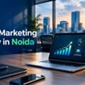 Affordable Digital Marketing Agency In Noida