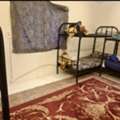 SAR 300/month,  Bed Space Available
