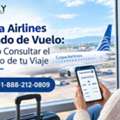 Copa Airlines Estado De Vuelo Antes De Viajar