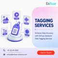 Enhance Data Accuracy With EnFuse Solutions' Data Tagging Services