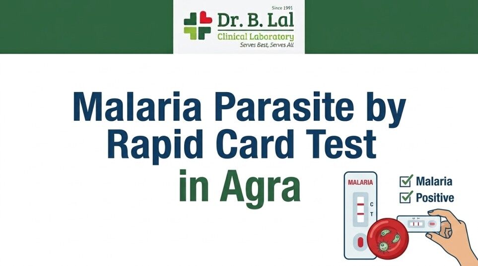 Lucknow, Health & Beauty Items, INR 300,  Book Malaria Test Online In Agra | Dr. B. Lal Lab