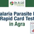 INR 300,  Book Malaria Test Online In Agra | Dr. B. Lal Lab
