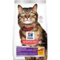 Hills Cat Food For Complete Everyday Feline Nutrition
