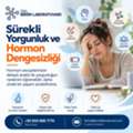 Sürekli Yorgunluk Ve Hormon Dengesizliği