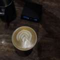 Barista