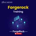 ForgeRock Training | IAM, SSO, Identity Management & Access Control