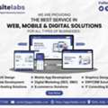 Expert Website Developers In Delhi For Business Growth