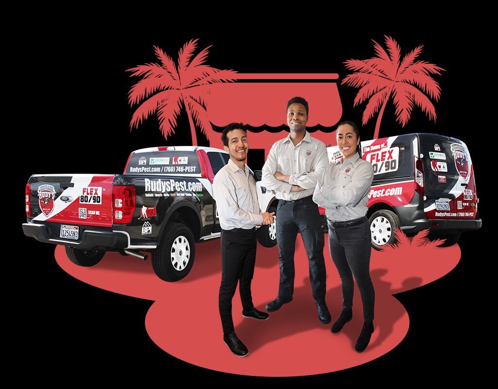 New York, Pest Control, Reliable Commercial Pest Control For Hotels You Can Depend On