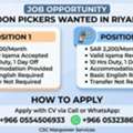 Noon Warehouse Picker Vacancies In Riyadh &ndash; CSC Manpower Services