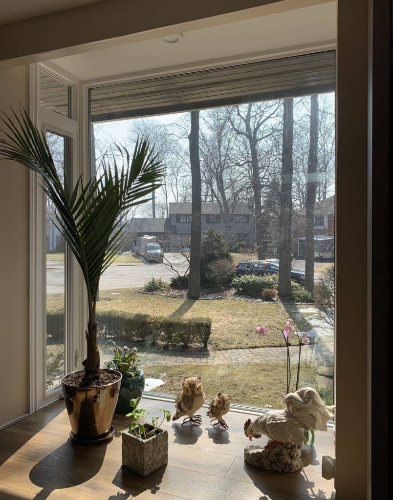 Mississauga, Household, Professional Window Replacement & Installation | Arcana Windows & Doors