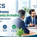 Best Business Consultants In India: Helping Businesses Grow With Confidence