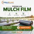 Reliable Mulch Film For Efficient & Sustainable Farming