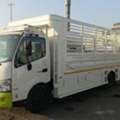 🚚 Hino Dyna 6 Meter – Rental & Cargo Delivery Service