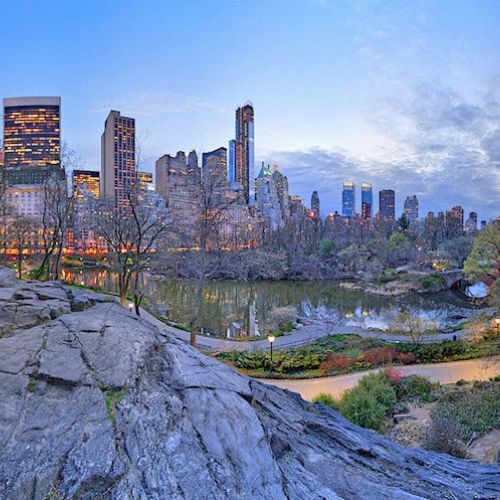 New York, Artists, Leading Artist Estate Collection Management Services