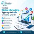 Trusted Digital Marketing Agency In India For Brand Growth