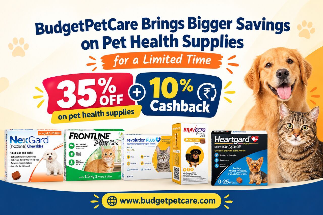 New York, Pet Supplies, BudgetPetCare Brings Bigger Savings On Pet Health Supplies For A Limited Time