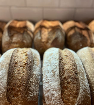 New York, Food, Discover Fresh Flavors At A Gourmet Plant Based Bakery