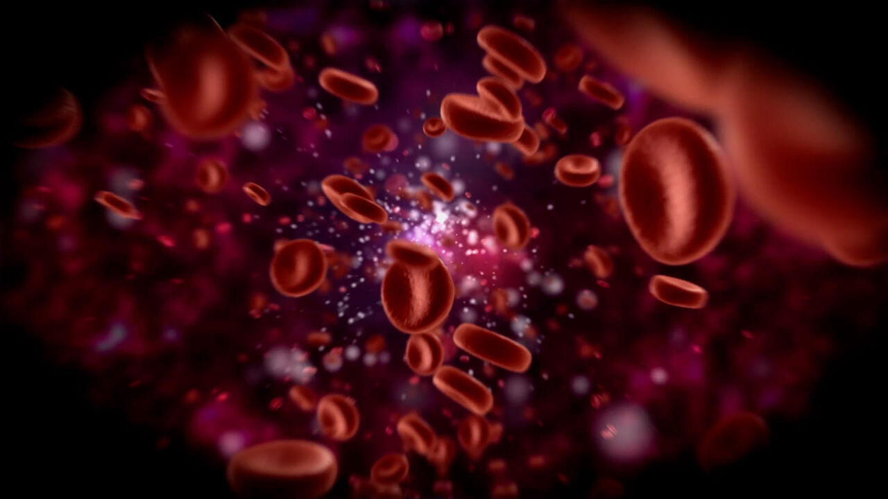 Ghaziabad, Health, Expert Solutions For Blood Cancer Treatment In Noida