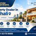 INR 40,  Property Dealer In Mohali