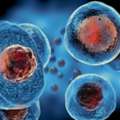 Stem Cell Treatment In India