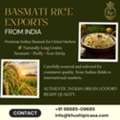 Basmati Rice Exports From India For Global Buyers