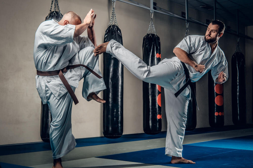 Toronto, Lessons Offered, Join Brazilian Jiu-Jitsu Classes In Brampton At Legends MMA