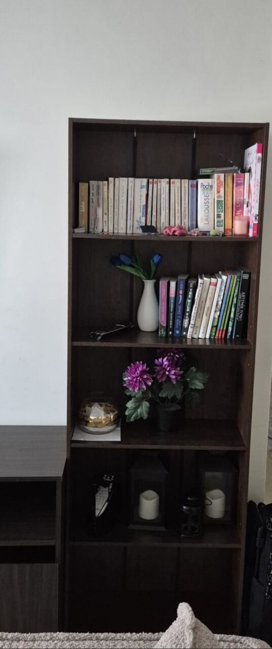 Al Wadi, Furniture, SAR 500,  TV Unit And Closets For Sale