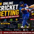 How Can Beginners Compare Different Cricket Tips Before A Match?