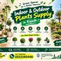SAR 200,  INDOOR & OUTDOOR PLANTS SUPPLY IN RIYADH