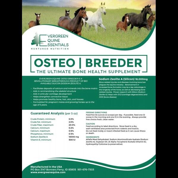 New York, Pet Supplies, USD 40,  Horse Supplements | Best Horse Joint Supplements Online - EverGreen Equine