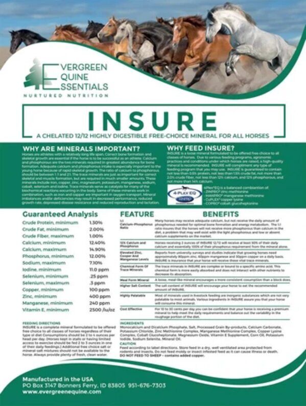 New York, Business, Horse Mineral Supplement | Best Vitamins & Trace Minerals - EverGreen Equine