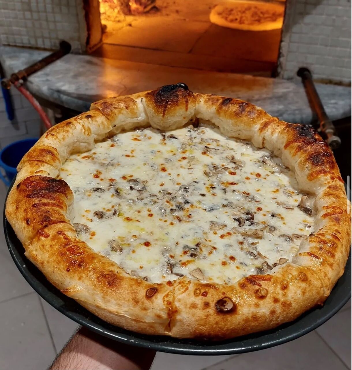 Riyadh, Job Seekers, Italian Pizza Chef