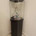SAR 1000,  Hexagon Vertical Aquarium With Stand 70L