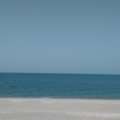 KWD 600/month,  3 BR,  On The Beach! Sea View! Pool! Brand New 1, 2 And 3 Bedrooms Duplex For Rent In Messilah.