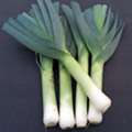 EUR 1,  Fresh Leek And Spring Onions