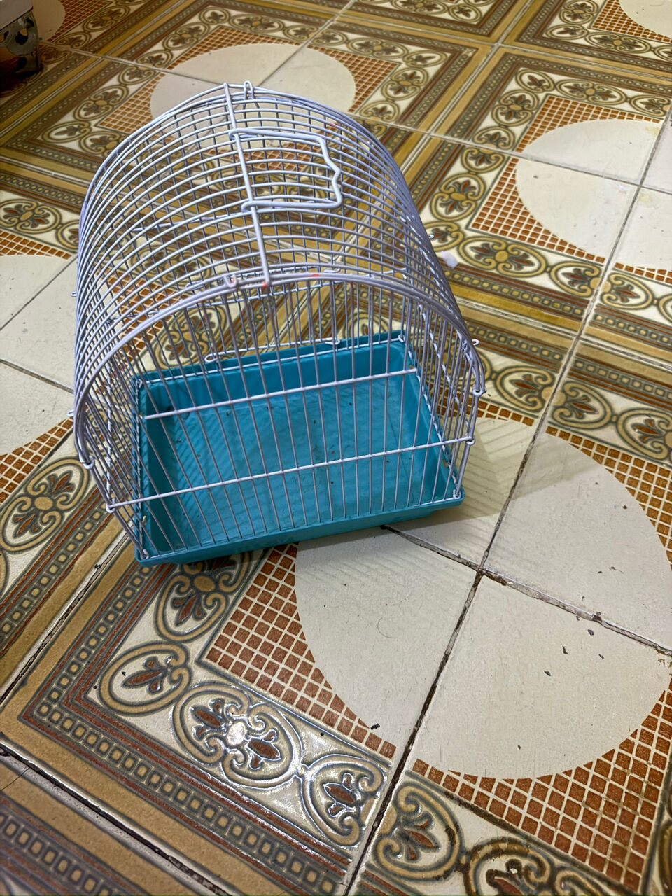 Jeddah, Pet Supplies, SAR 10,  Small Bird Gauge For Sale (0504526570)